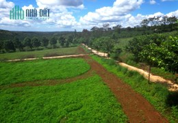 Bán đất Chư P Rông Gia Lai 1000m giá 200tr sổ hồng riêng