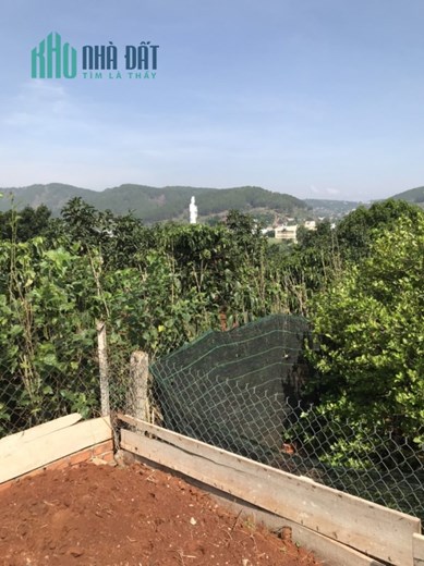 CHÍNH CHỦ BÁN LÔ ĐẤT LỌT KHE HUYỆN LÂM HÀ- LÂM ĐỒNG