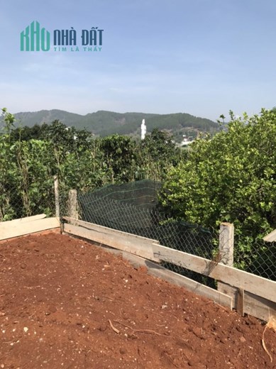 CHÍNH CHỦ BÁN LÔ ĐẤT LỌT KHE HUYỆN LÂM HÀ- LÂM ĐỒNG