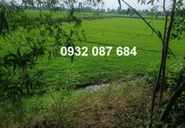 ⭐Đất đẹp - Giá tốt - Cần bán lô đất vị trí đắc địa tại Mộc Hoá, Long An; 2,4 tỷ; 0932087684