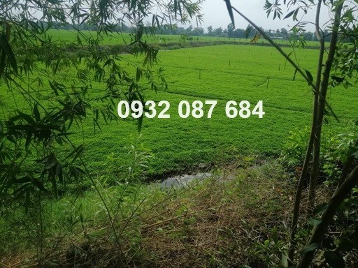 ⭐Đất đẹp - Giá tốt - Cần bán lô đất vị trí đắc địa tại Mộc Hoá, Long An; 2,4 tỷ; 0932087684