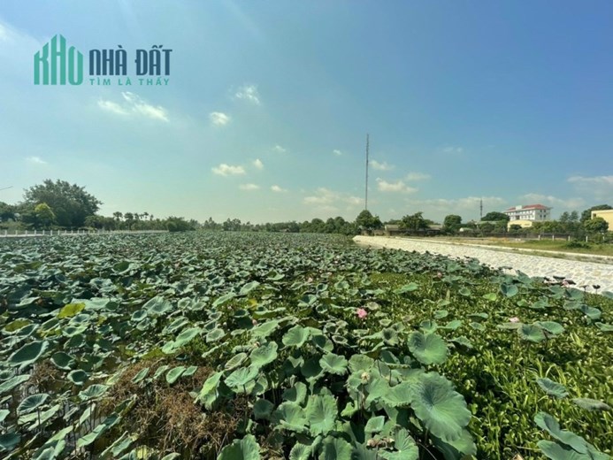 Tài chính nhỉnh 2 tỉ có lô đất gần Hồ Sen Hoà Lạc