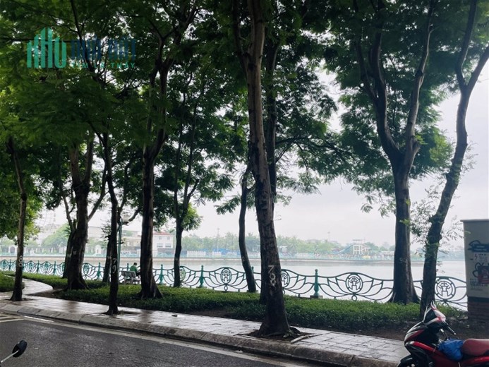 Bán Đất Phố Lạc Long Quân Quận Tây Hồ. 98m Mặt Tiền 8.4m Nhỉnh 15 Tỷ. Cam Kết Ảnh Thật Mô Tả Chính