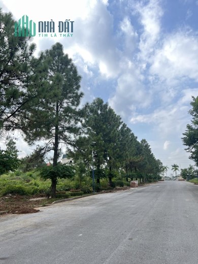 Biệt thự The Phoenix garden hướng đông nam, Tây bắc, lô góc 200m2, 400m2