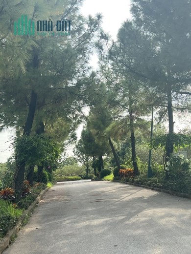 Biệt thự The Phoenix Garden- KĐT sinh thái Đan Phượng 400m2