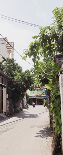 NHÀ 2 MT ĐƯỜNG LỚN BÙI QUANG LÀ. GÒ VẤP. GIẢM SAU 5 TỶ 8 XUỐNG CHỈ CÒN 4 TỶ 3.