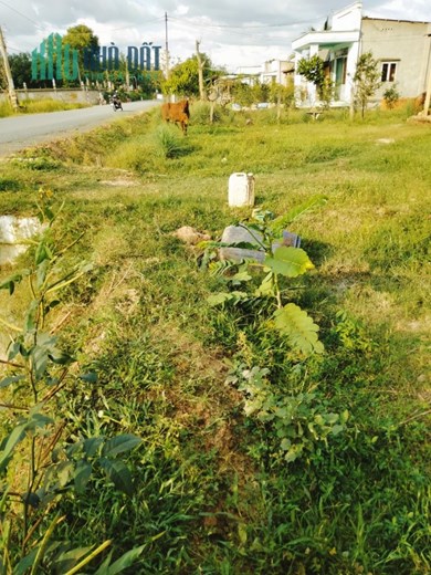 Bán Đất Đẹp - Vị Trí Đặc Địa Tại Châu Thành, Tây Ninh