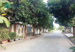 Bán đất Biệt Thự Anh Dũng 7, diện tích 290m GIÁ 5.2 tỉ sát khu Mê Linh
