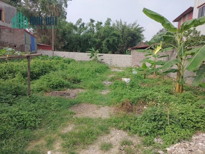 Đất Hoa Đường, Trường Thịnh, Ứng Hòa, 178m2, 2.3 tỷ