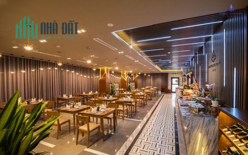 BÁN KHÁCH SẠN PHỐ LIỄU  GIAI, VIEW TOÀ LOTTE, DÒNG TIỀN KHỦNG 1 TỶ/THÁNG, 220M2, 11 T, MT11M, 110 TỶ