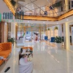Siêu Hiếm, Mặt Phố Tô Hiệu, View Công Viên Nghĩa Đô, Kinh Doanh, 7 Tầng Thang Máy, 45m2
