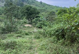 CHÍNH CHỦ CẦN BÁN ĐẤT TẠI TRANG TRẠI KHE CHẸT, XÃ HƯNG YÊN NAM , HUYỆN HƯNG NGUYÊN , TỈNH NGHỆ AN
