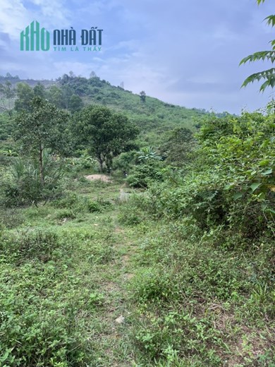 CHÍNH CHỦ CẦN BÁN ĐẤT TẠI TRANG TRẠI KHE CHẸT, XÃ HƯNG YÊN NAM , HUYỆN HƯNG NGUYÊN , TỈNH NGHỆ AN
