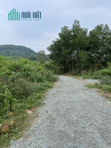 CHÍNH CHỦ CẦN BÁN ĐẤT TẠI TRANG TRẠI KHE CHẸT, XÃ HƯNG YÊN NAM , HUYỆN HƯNG NGUYÊN , TỈNH NGHỆ AN