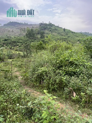 CHÍNH CHỦ CẦN BÁN ĐẤT TẠI TRANG TRẠI KHE CHẸT, XÃ HƯNG YÊN NAM , HUYỆN HƯNG NGUYÊN , TỈNH NGHỆ AN