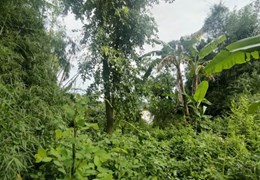BÁN THỬA ĐẤT GIÁP SÔNG 4000M2, TÂN UYÊN, BÌNH DƯƠNG, CHỈ 5 TR/M2.