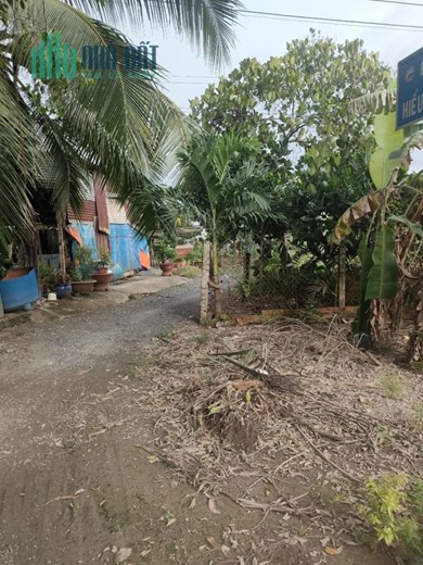 BÁN THỬA ĐẤT GIÁP SÔNG 4000M2, TÂN UYÊN, BÌNH DƯƠNG, CHỈ 5 TR/M2.
