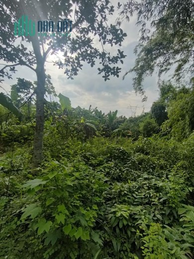 BÁN THỬA ĐẤT GIÁP SÔNG 4000M2, TÂN UYÊN, BÌNH DƯƠNG, CHỈ 5 TR/M2.