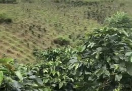 Bán Đất Đẹp - Vị Trí Đặc Địa Tại Xã Lát, Huyện Lạc Dương, Lâm Đồng