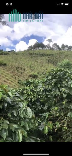 Bán Đất Đẹp - Vị Trí Đặc Địa Tại Xã Lát, Huyện Lạc Dương, Lâm Đồng