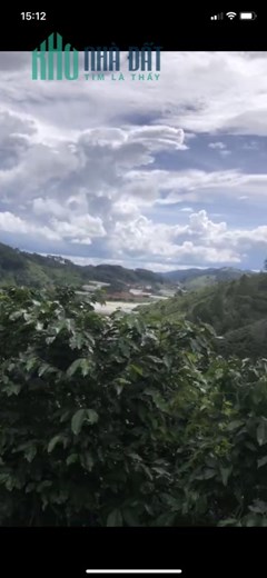 Bán Đất Đẹp - Vị Trí Đặc Địa Tại Xã Lát, Huyện Lạc Dương, Lâm Đồng