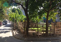 Bán đất lô góc Việt Hưng, 286m, hai mặt 15m, ô tô tránh, 22 tỷ 3