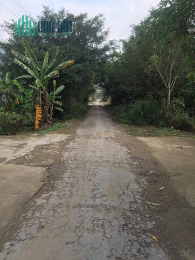 CẦN TIỀN KINH DOANH BÁN NHANH 02 MẢNH ĐẤT PHÂN LÔ LIỀN KỀ TẠI XÓM 3, XÃ NAM VÂN, TỈNH NAM ĐỊNH