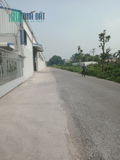 CHO THUÊ KHO, XƯỞNG  TẠI Huyện BÌNH GIANG. HẢI DƯƠNG