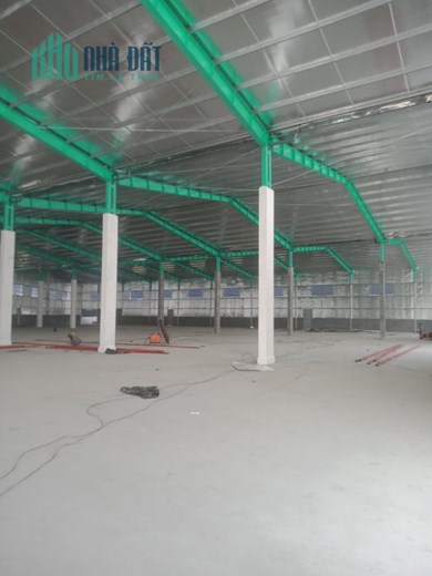 CHO THUÊ KHO, XƯỞNG  TẠI Huyện BÌNH GIANG. HẢI DƯƠNG
