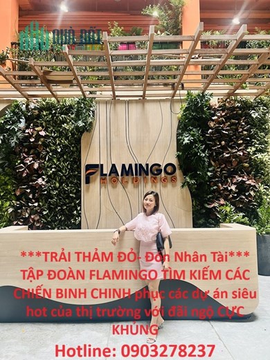 TẬP ĐOÀN FLAMINGO TÌM KIẾM CÁC CHIẾN BINH CHINH phục các dự án siêu hot của thị trường với đãi ngộ
