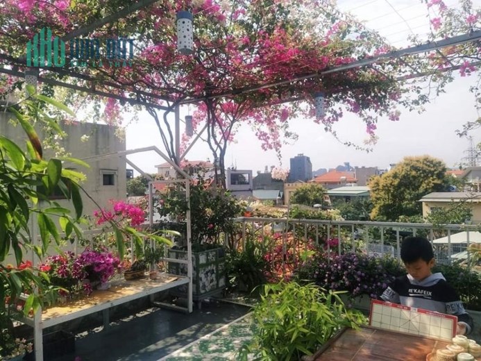 Siêu Phẩm  Mới Nhất Tại Xuân Đỉnh