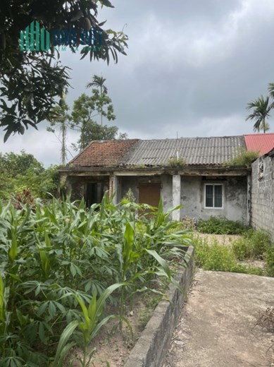 Cần bán lô đất 320M ngang 10 Trấn Dương Vĩnh Bảo Hải Phòng