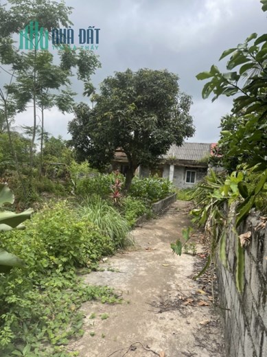 Cần bán lô đất 320M ngang 10 Trấn Dương Vĩnh Bảo Hải Phòng