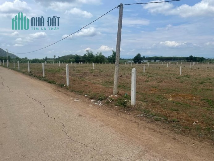 CẦN TIỀN DU HỌC GẤP