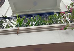 Cần bán giải chấp liền kề Mỹ Đình hoàn thiện đẹp
