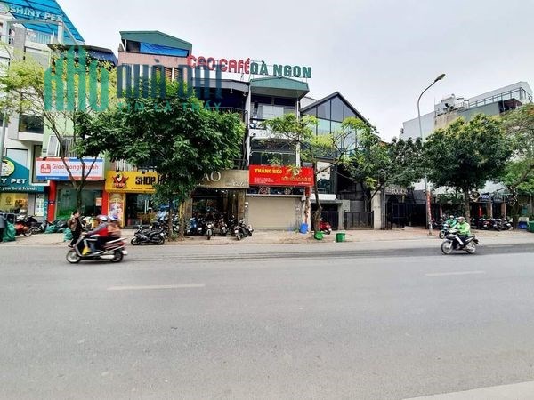 SIÊU PHẨM VIEW HỒ HOÀNG CẦU - HÀNG VIP - KINH DOANH SẦM UẤT. 200M X 3T. GIÁ 62 TỶ