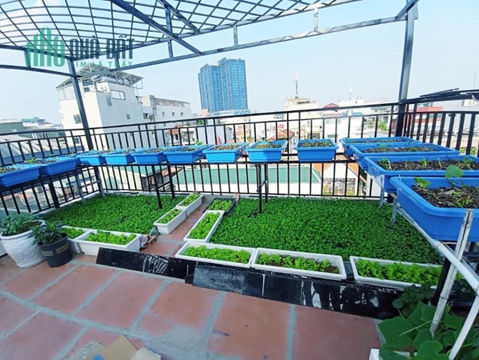 NHÀ ĐẸP! NGUYỄN NGỌC NẠI - THANH XUÂN - 55m2, 7 TẦNG, THANG MÁY - GẦN Ô TÔ – NỘI THẤT XỊN