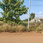 BÁN LÔ ĐẤT 2 MT TÁI ĐỊNH CƯ PHƯỜNG BẢO VINH – GIÁ RẺ.