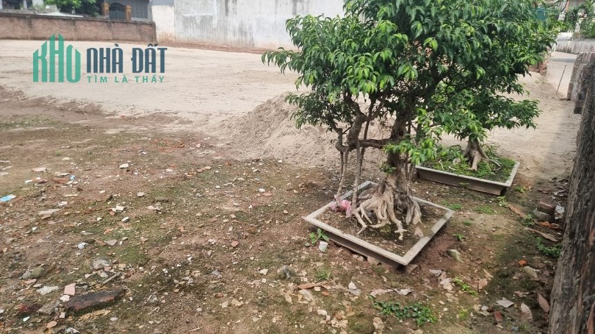 Bán đất Lê Đức Thọ, Mỹ Đình, gồm 3 mảnh lô góc 81m2x5m, ở, xây CCMN thuê đỉnh