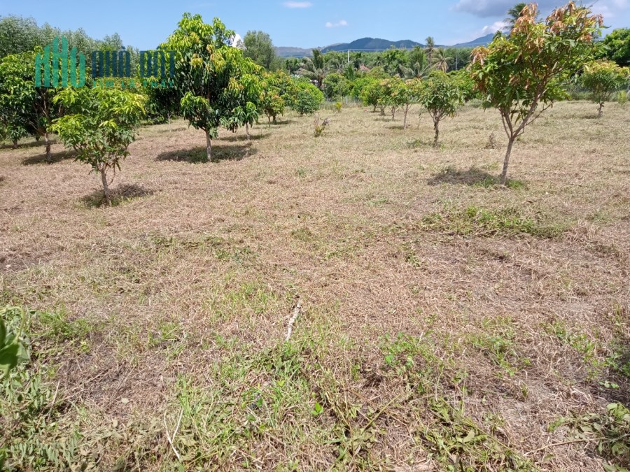 Bán đất Suối Tiên-Diên Khánh giá rẻ cho nhà đầu tư thích hợp làm vườn-LH 0906 359 868