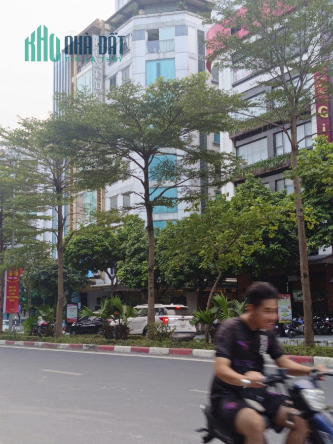 O9 26 28 5559  Bán nhà mặt phố Trần Thái Tông DT 90m², 8 tầng, MT 6m, giá 68 tỷ Cầu Giấy