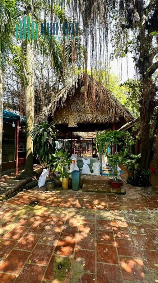 MT NG T THẬP. KP4. TÂN QUY. KHU VỰC KD SẦM UẤT. 628m2. NỞ HẬU. 78 tỷ