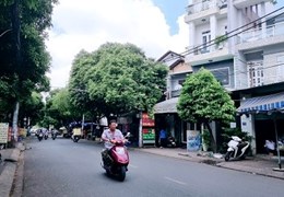 HOT HOT HOT CHÍNH CHỦ CẦN BÁN NHÀ MẶT TIỀN KINH DOANH ĐẮT ĐỊA ĐƯỜNG CỐNG LỞ, PHƯỜNG 15, TÂN BÌNH -