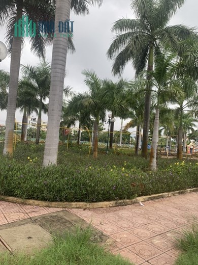 CHÍNH CHỦ CẦN BÁN NHANH LÔ ĐẤT  – GIÁ TỐT Tại  145 Hoa Lư, p Đống đa, TP Qui Nhơn, tỉnh Bình định.