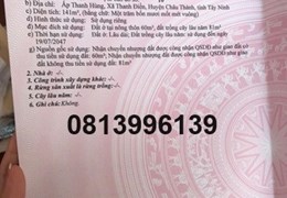 ⭐CHÍNH CHỦ CẦN BÁN GẤP lô đất 141m2 xã Thanh Điền, Châu Thành,  Tây Ninh; 920tr; 0813996139
