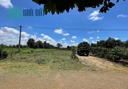 Bán Đất Đẹp Tại Xã Hòa Nam, Huyện Di Linh, Lâm Đồng