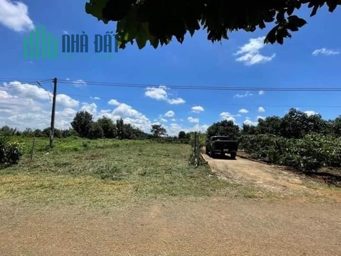 Bán Đất Đẹp Tại Xã Hòa Nam, Huyện Di Linh, Lâm Đồng