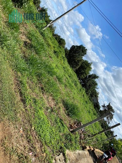Bán Đất Đẹp Tại Xã Hòa Nam, Huyện Di Linh, Lâm Đồng