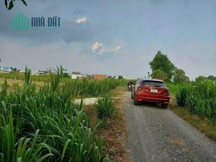 BÁN ĐẤT ẤP CẦU HÀNG, XÃ AN LỤC LONG, HUYỆN CHÂU THÀNH, TỈNH LONG AN.