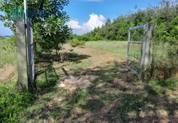 Chính Chủ Bán Đất Vườn Sinh Thái Nghỉ Dưỡng Hồ Dầu Tiếng BD,2400M2 Giá 3 Tỷ,LH:0907753508